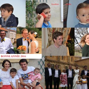 Bertrand, Catherine et leurs enfants vous souhaitent une bonne année 2016 !